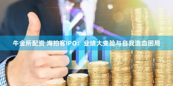 牛金所配资 海拍客IPO：业绩大变脸与自我造血困局