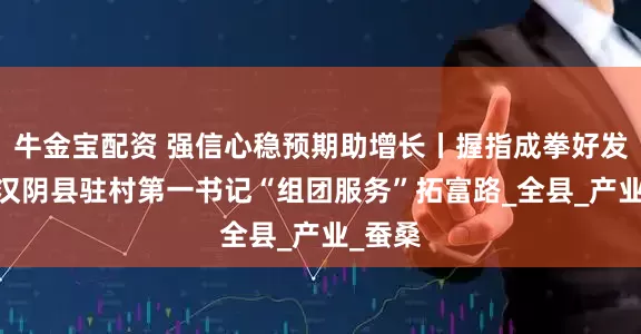 牛金宝配资 强信心稳预期助增长丨握指成拳好发力——汉阴县驻村第一书记“组团服务”拓富路_全县_产业_蚕桑